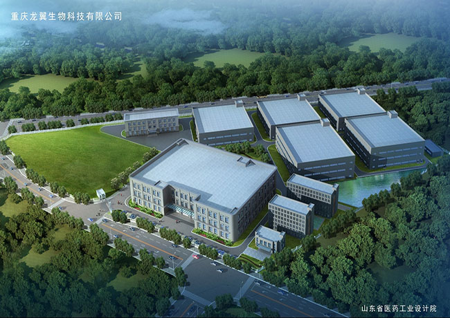 重慶龍翼生物科技有限公司納米醫(yī)用器材GMP建設(shè)項(xiàng)目